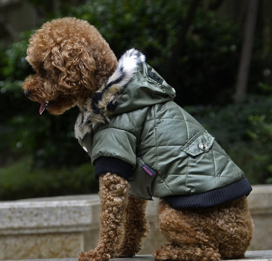 Rainproof Dog Vest