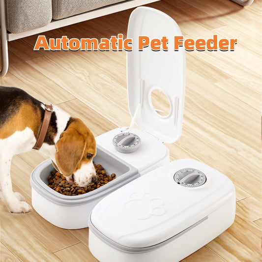 Automatic Food Bowl