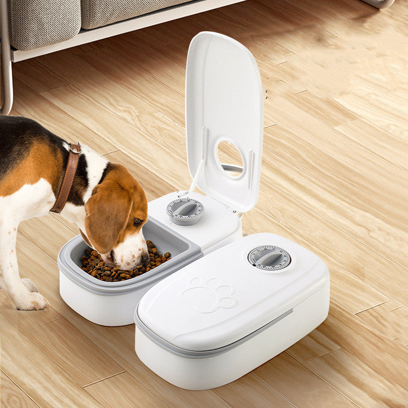 Automatic Food Bowl